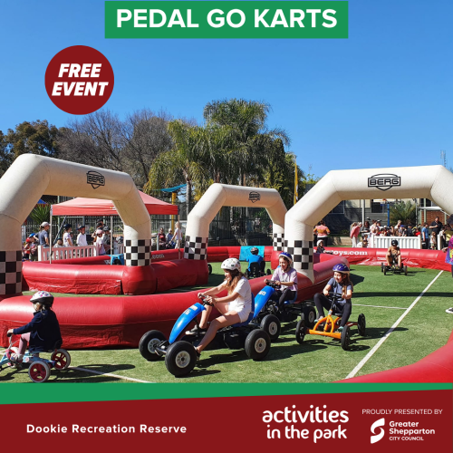 Pedal Go Kart 
