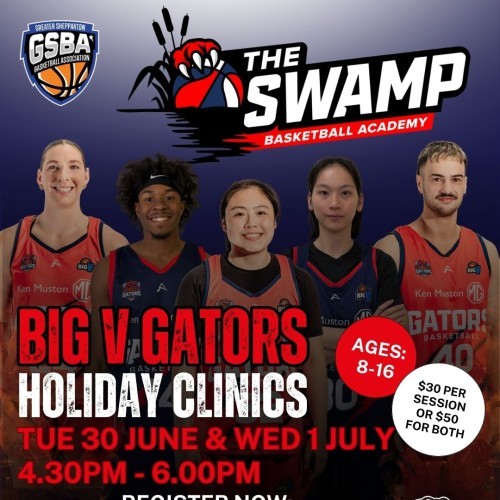 Greater Shepparton Basketball Association: Beginner Friendly Basketball Clinics!