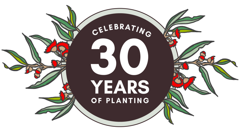 National Tree Day 2026