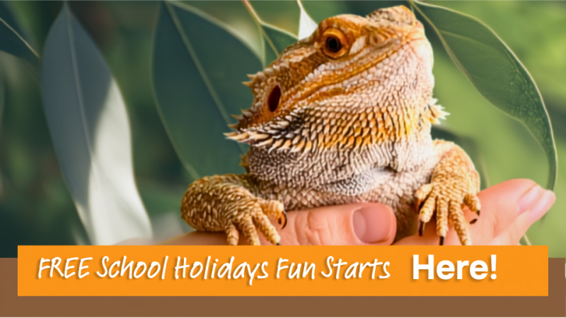School Holiday Wild About Reptiles