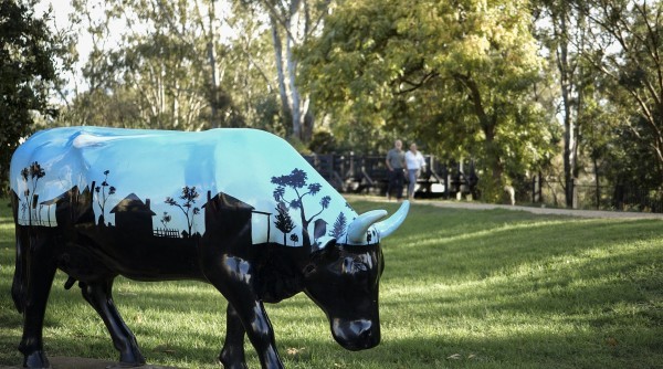 Murchison Public Gardens and Meteorite Cow