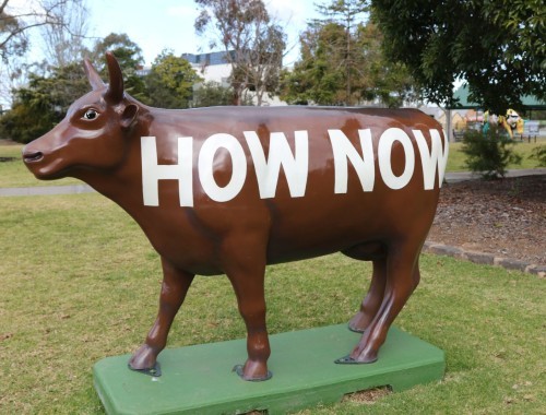 3.Moooving Art Shepp .14-7-24 . 164 - How Now Brown Cow by Tank 