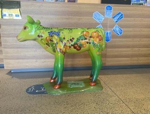 Fruity Calf - Visitor Centre - February 2025 - IMG 4865