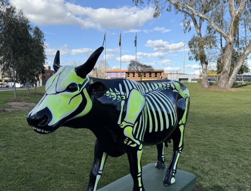Skeleton Cow - Monash Park September 2025 5 - web