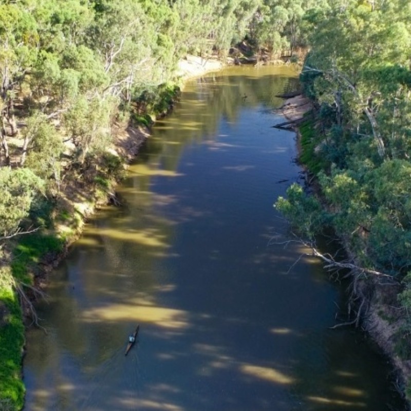 Walk: Victoria Park Lake to Australian Botanic Gardens Shepparton