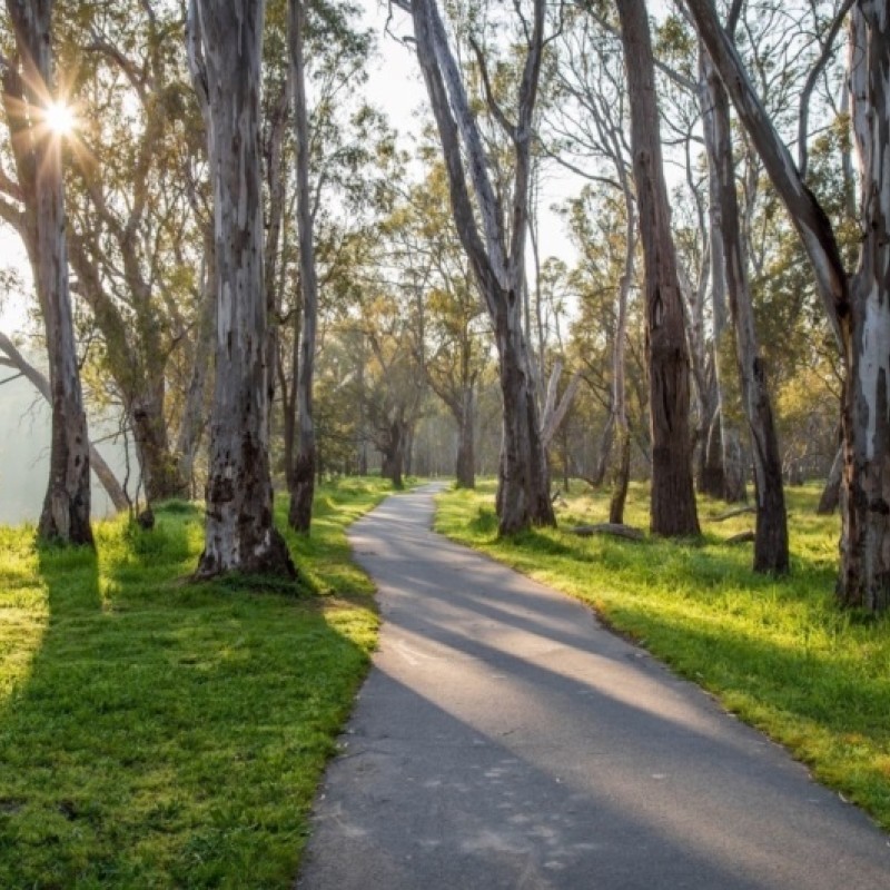 Walk: Victoria Park Lake to Australian Botanic Gardens Shepparton