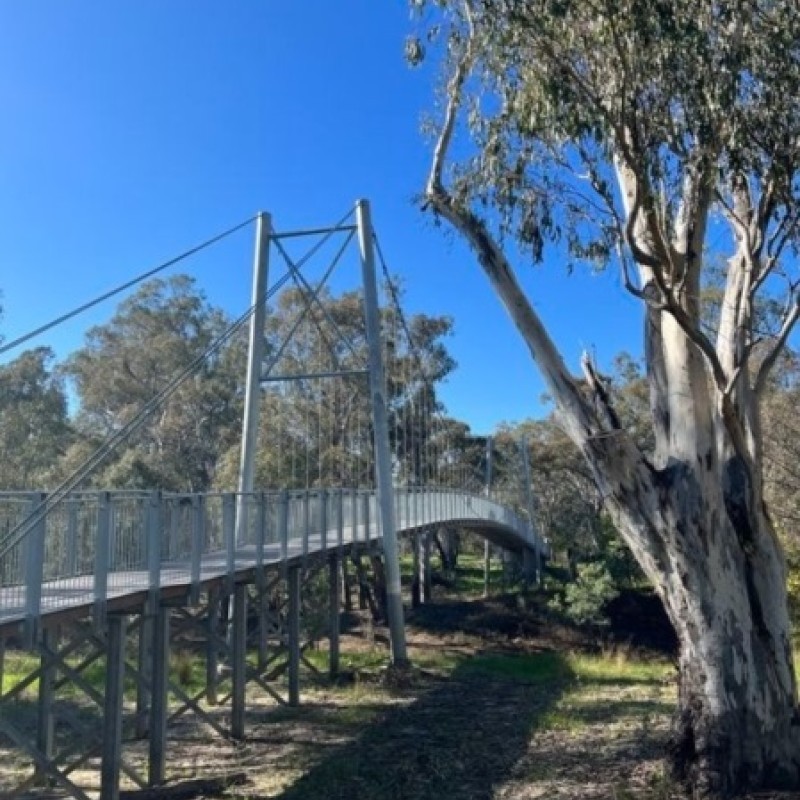 Walk: Victoria Park Lake to Australian Botanic Gardens Shepparton