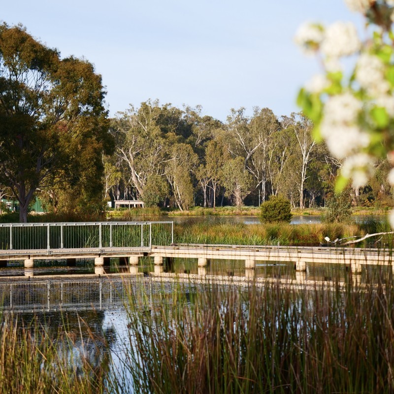 Victoria Park Lake