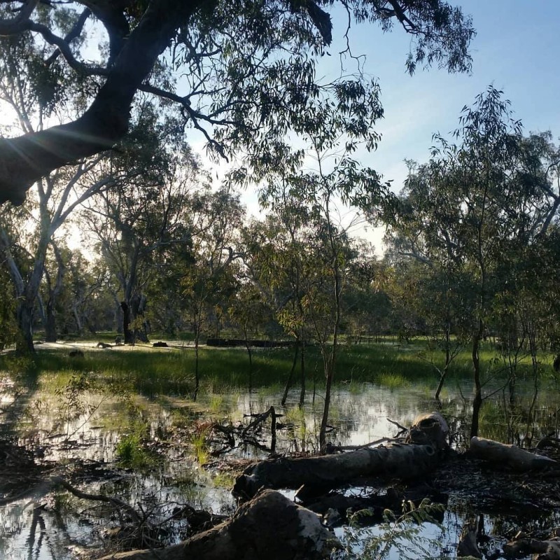 Doctors Swamp Wildlife Reserve
