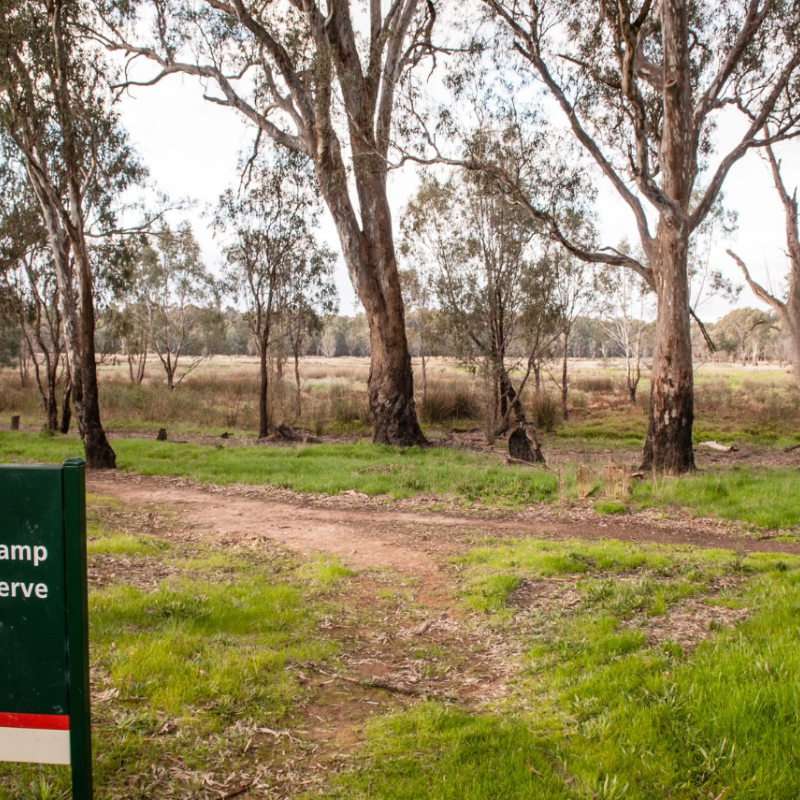 Gemmill Swamp Wildlife Reserve