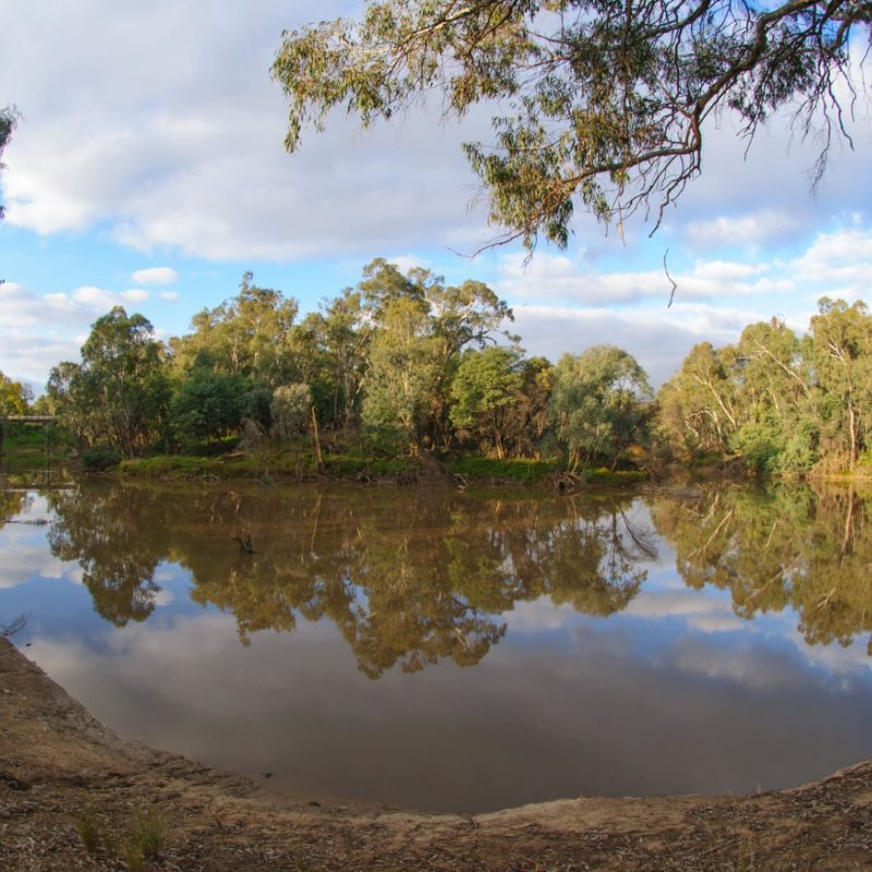 Gemmill Swamp Wildlife Reserve