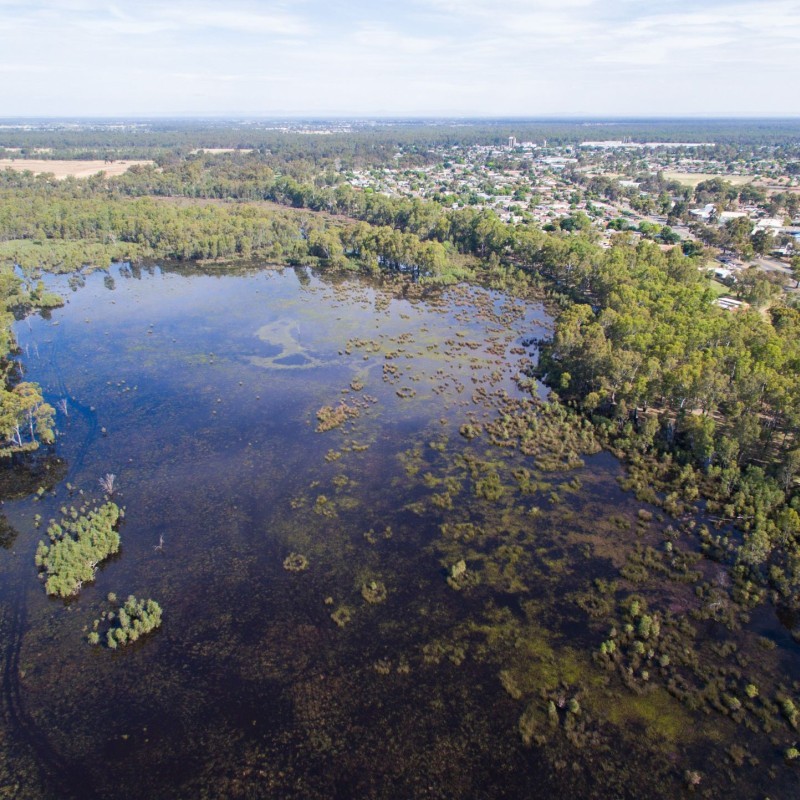 Gemmill Swamp Wildlife Reserve