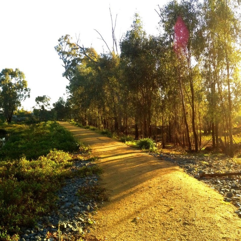 Gemmill Swamp Wildlife Reserve