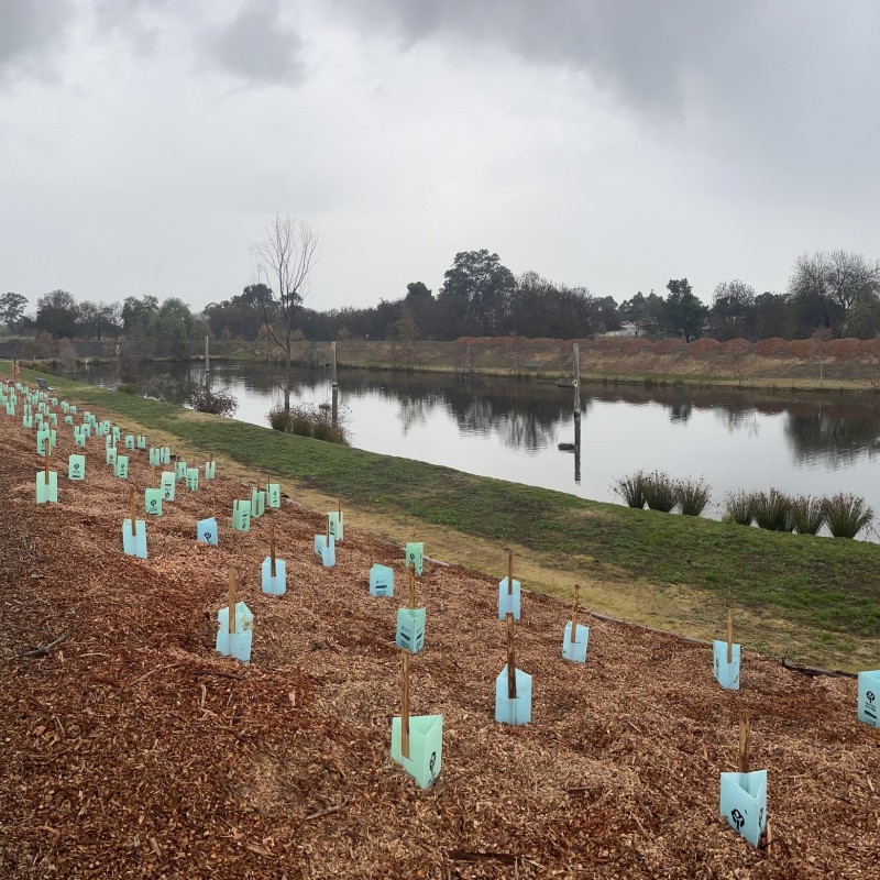 RiverConnect