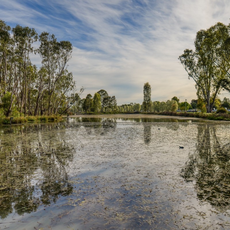 Victoria Park Lake