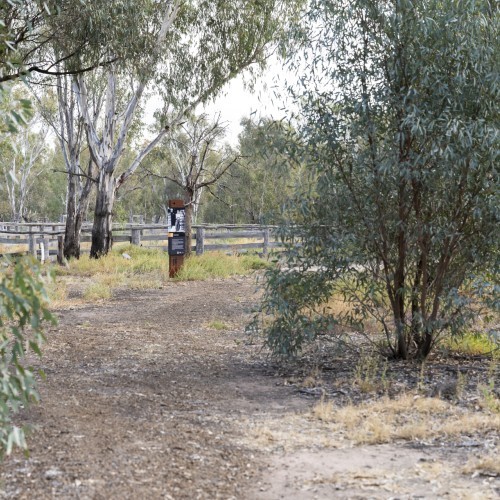 Yamyabuc Trail Cultural Guided Walk