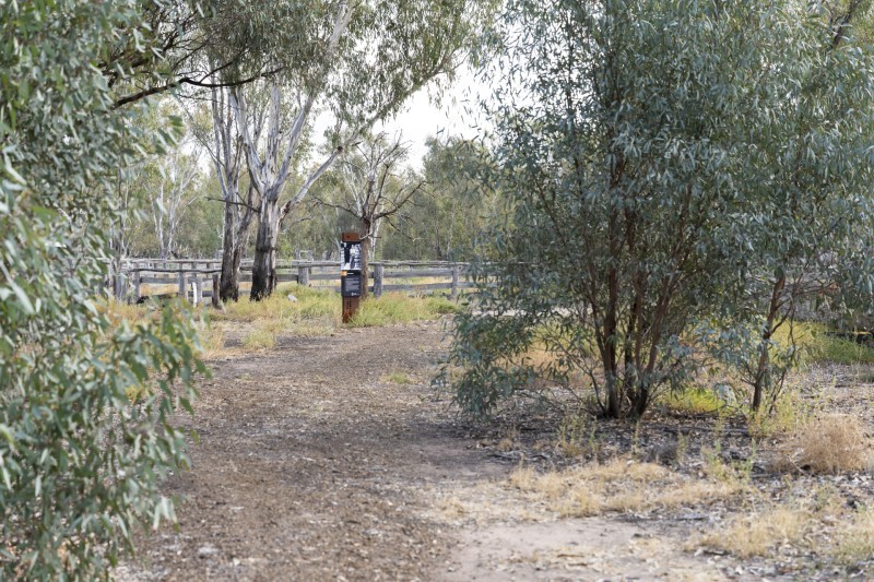 Yamyabuc Trail Cultural Guided Walk