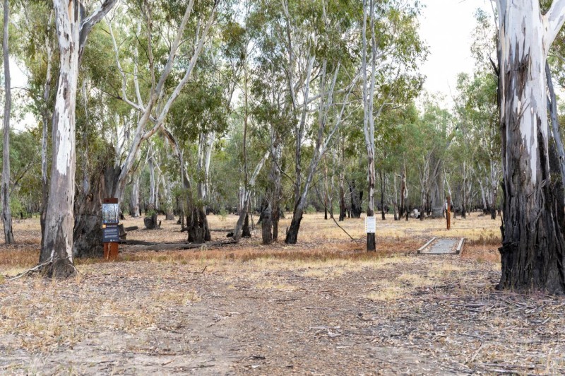 Yamyabuc Trail Cultural Guided Walk