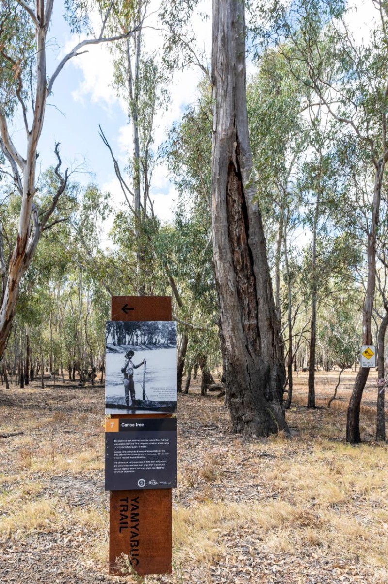Yamyabuc Trail Cultural Guided Walk