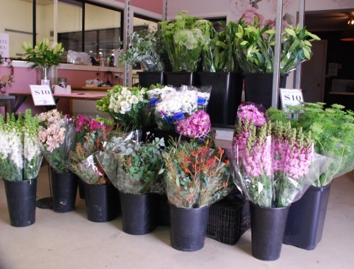 Avonlea Flower Shop - Murchison - 23 November 2022 - DSC 0658