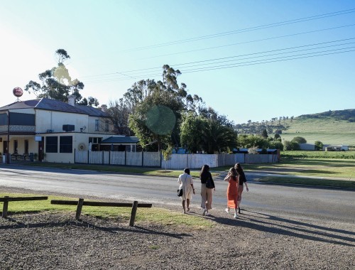 Digital Storytelling - Dookie - The Gladstone Mount Saddleback 30