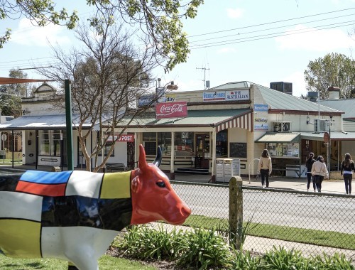 Digital Storytelling - Dookie General Store Moooving Art 22