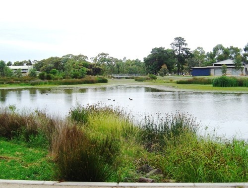 Lake Bartlett 1
