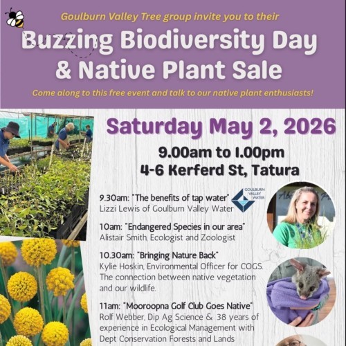 Buzzing Biodiversity Day & Native Plant Sale