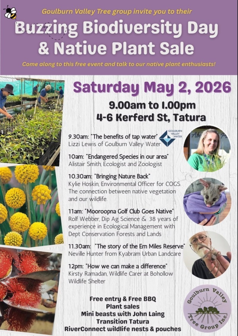 Buzzing Biodiversity Day & Native Plant Sale